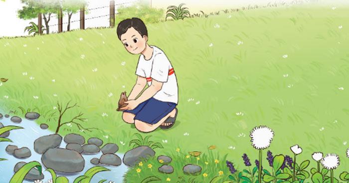 Bài Đọc: Quà Tặng Của Chim Non - Sách Tiếng Việt 4 Tập 2 Chân Trời Sáng Tạo, Bài 5